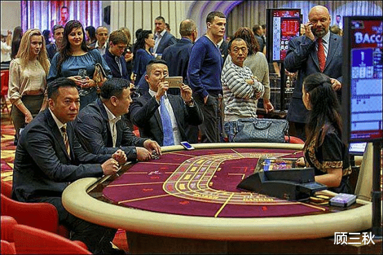 澳门六六大姐的传奇与级别解析澳门六哥是谁